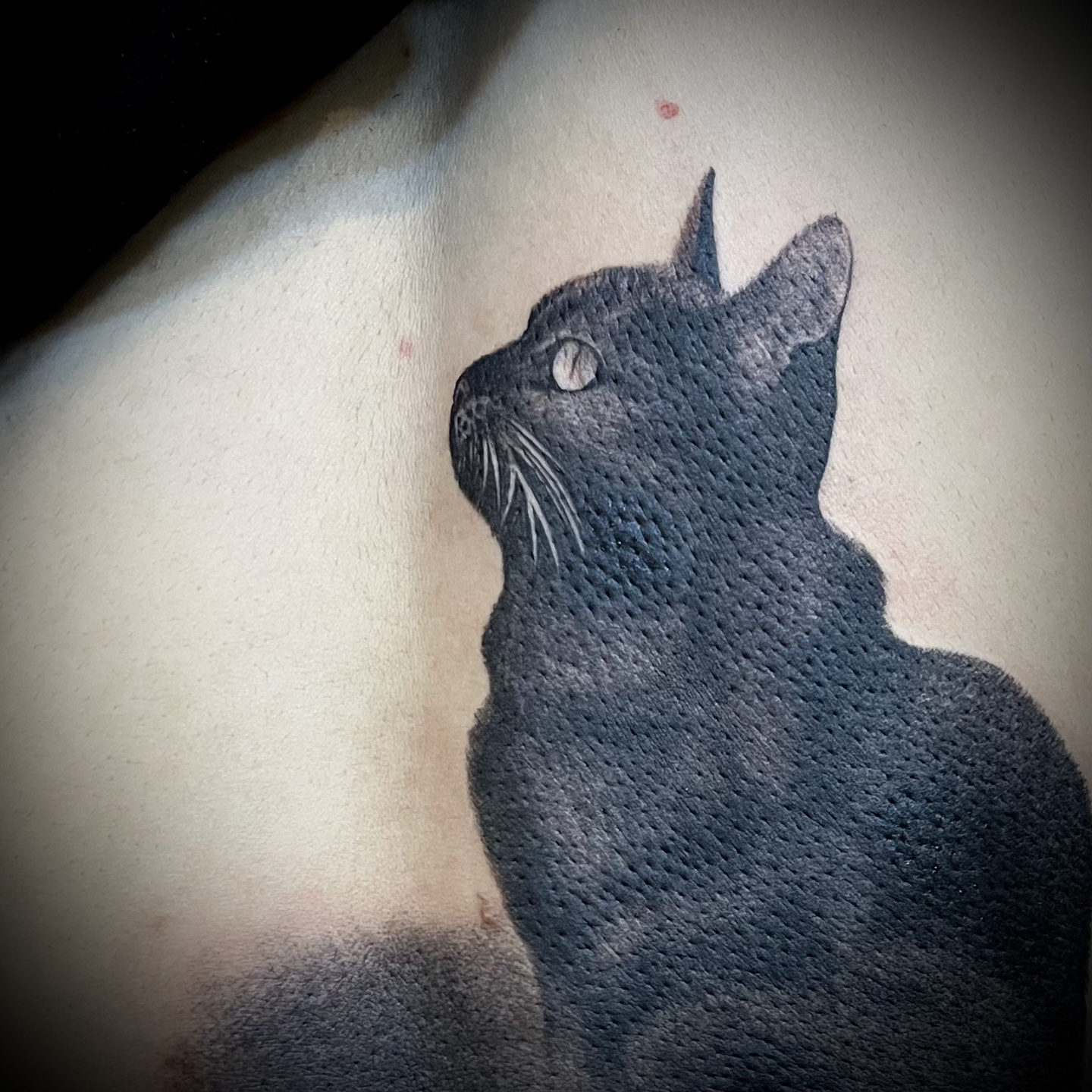 群馬県高崎市のタトゥースタジオ